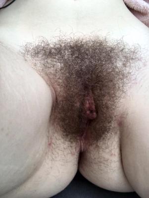 (F) Daily Post